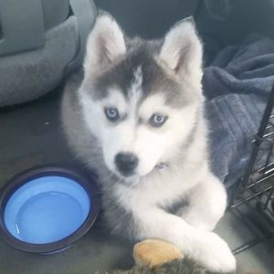 Meet your Posher, Chris